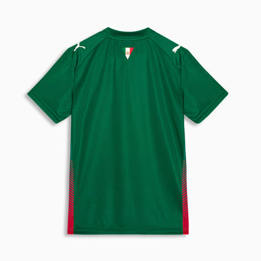 Conjunto Infantil Palmeiras 2026/27 I