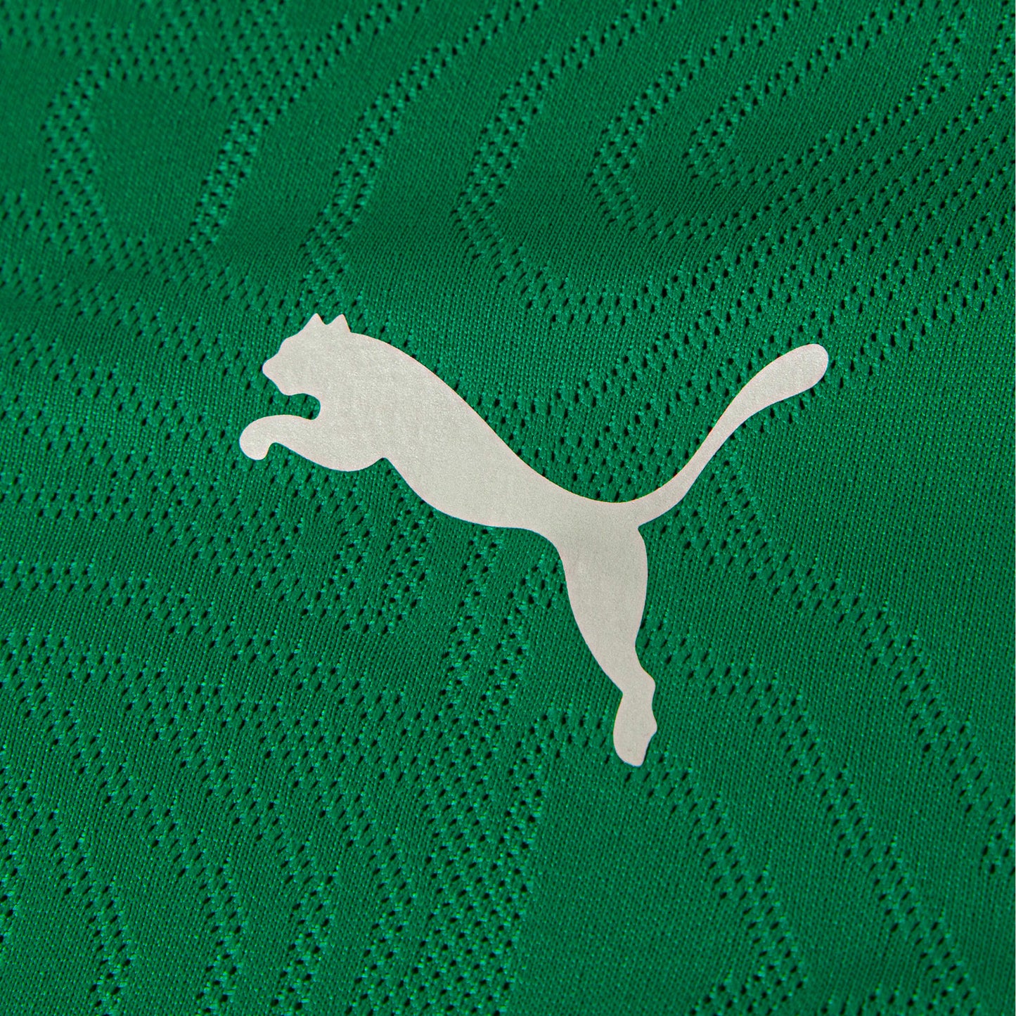 Camisa Puma Treino Fluminense 2026/27 Verde