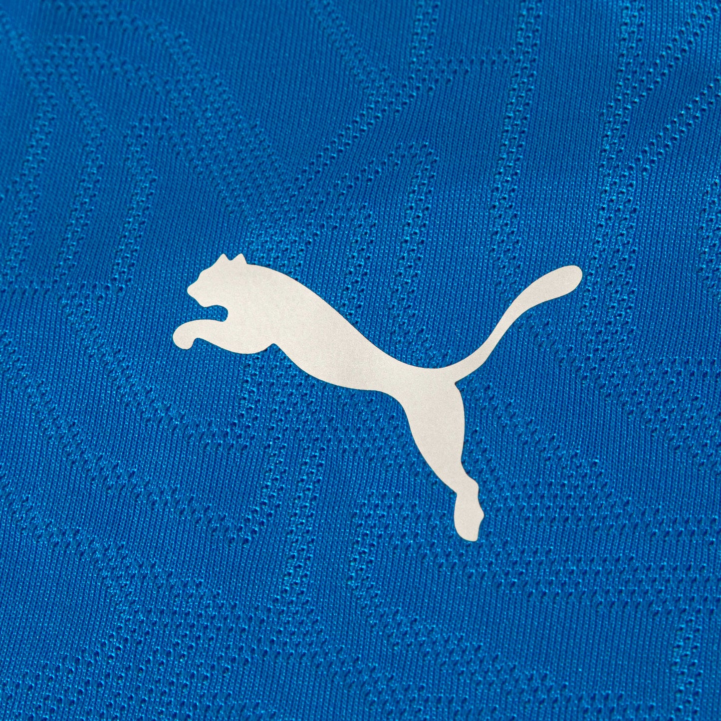 Camisa Puma Treino Fluminense 2026/27 Azul