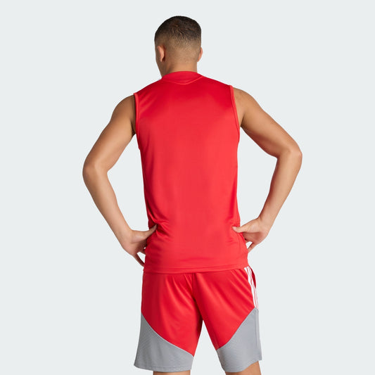 Regata Adidas Internacional 2025/26 II